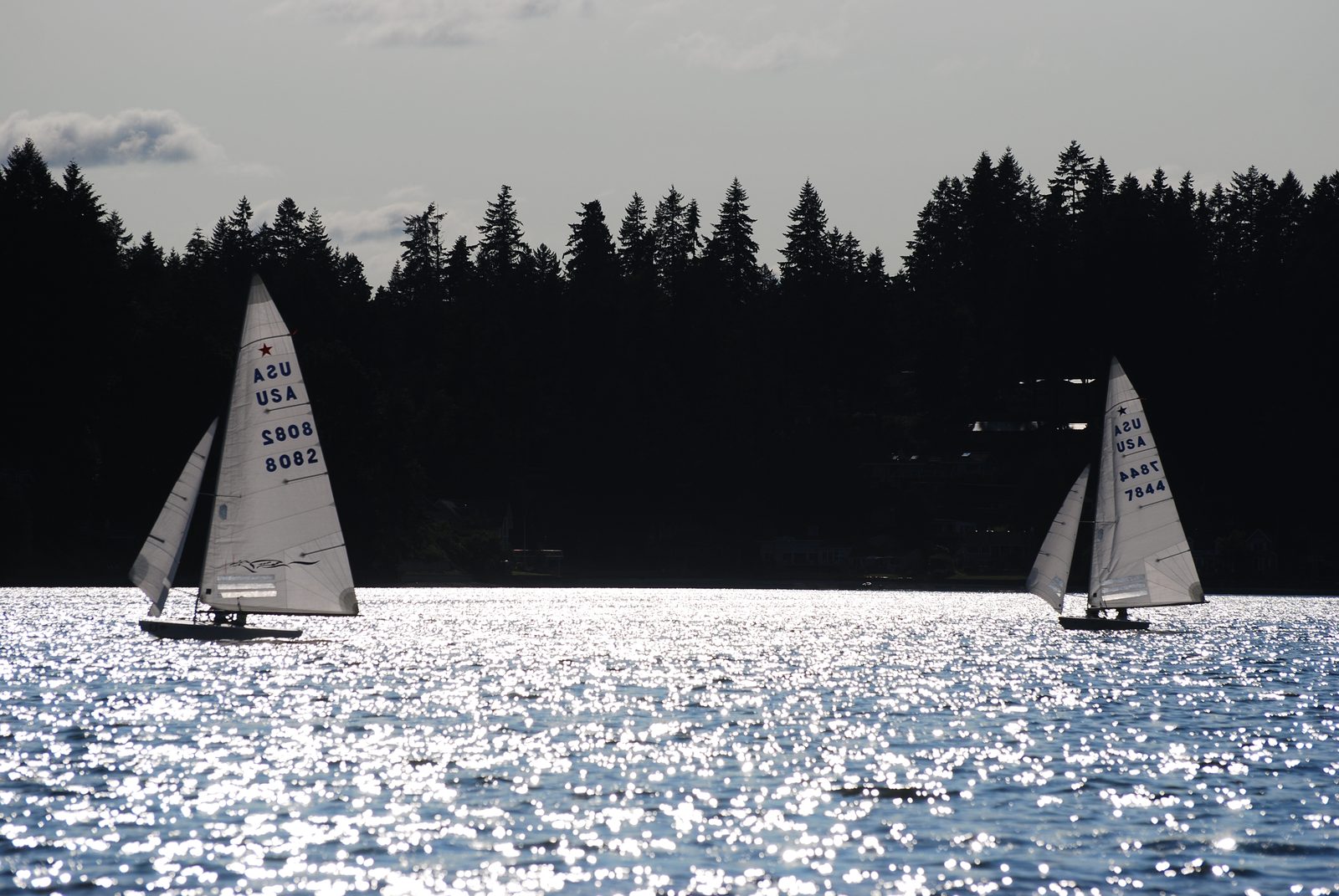 Now we're racing!  Look at us, all in front of the other boat.  Woohoo!